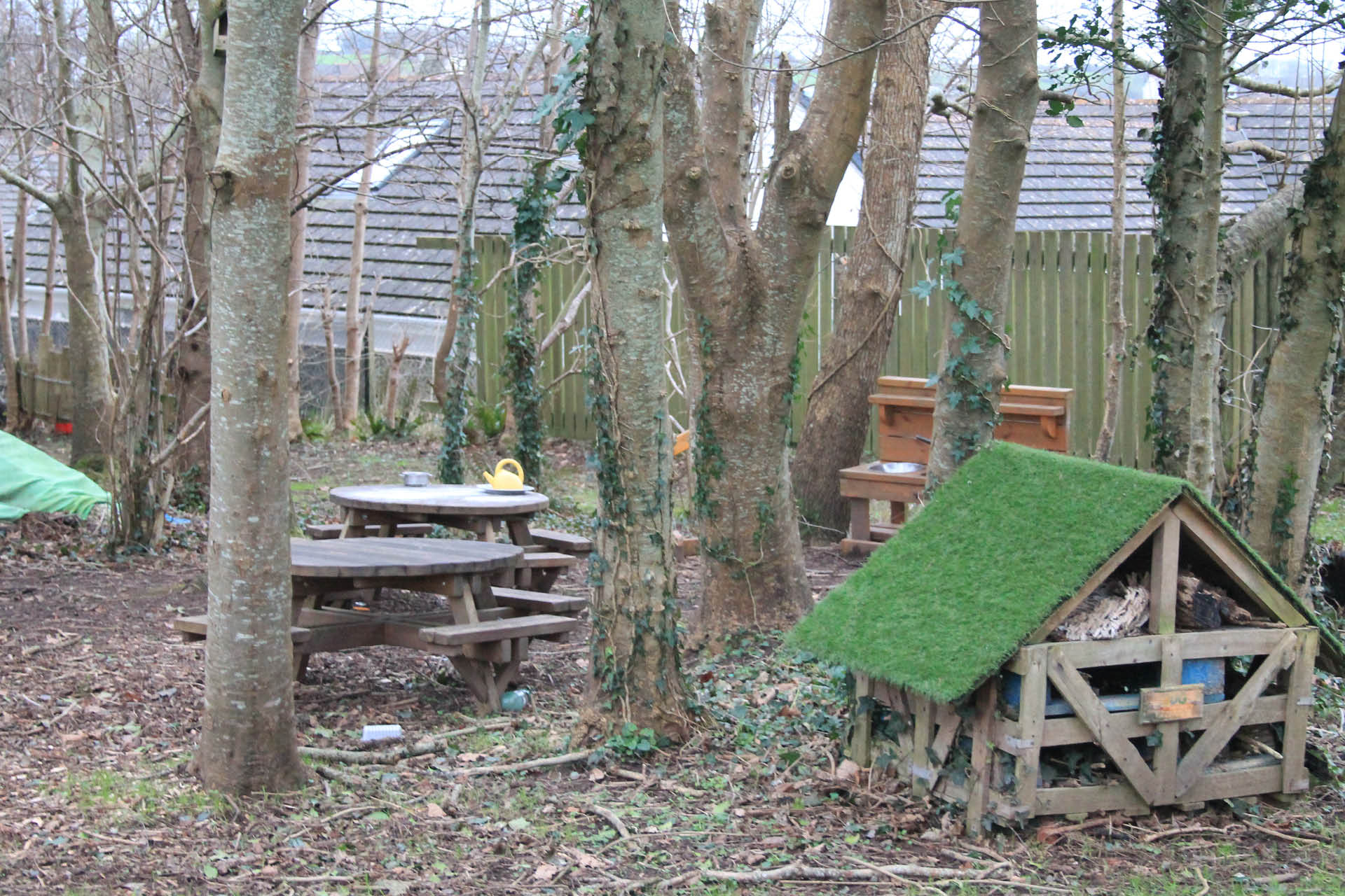 golden_manor_nursery_pembrokeshire27